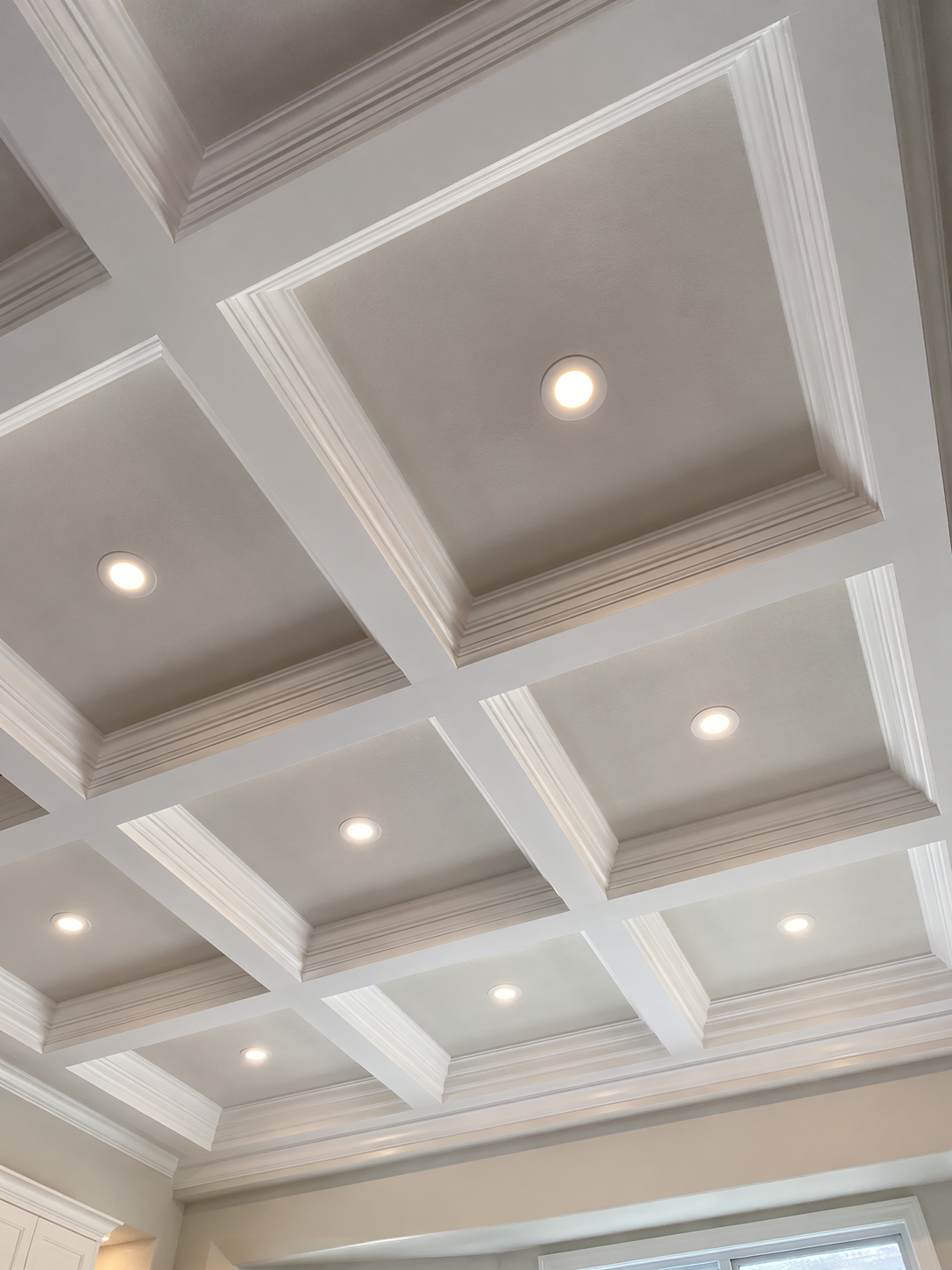 Ceiling Back False Ceiling | Gooyer Living